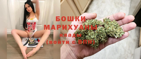эйфоретик Арсеньев
