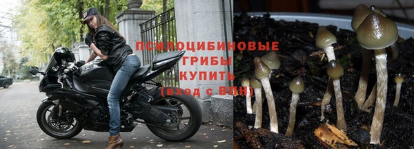 эйфоретик Арсеньев