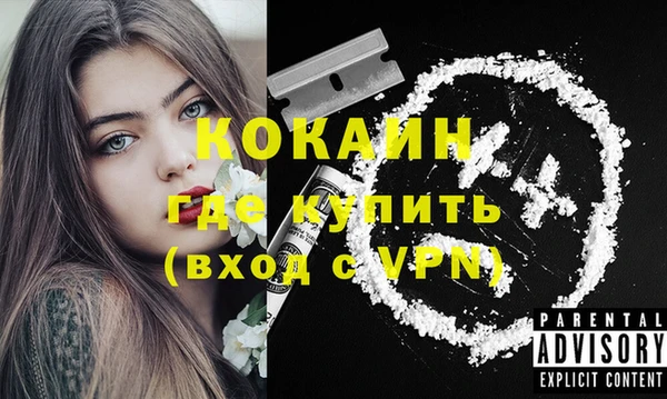 эйфоретик Арсеньев