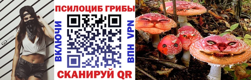 Псилоцибиновые грибы Cubensis  кракен ONION  Северо-Курильск 